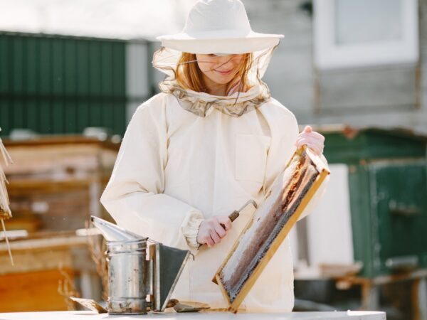 Como um kit apicultor pode facilitar sua jornada na apicultura?